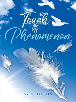 cover image of Touch of Phenomenon